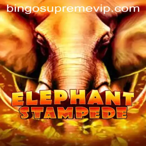 Exploring the Adventurous World of ElephantStampede and the Excitement of BINGO SUPREME
