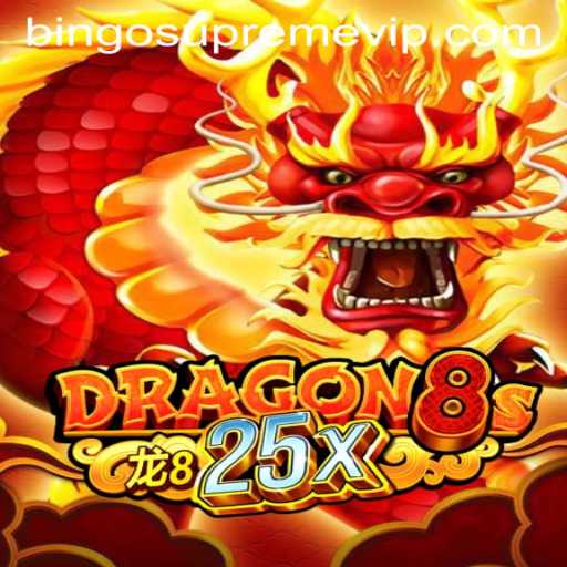 Dragon8s25x: Exploring BINGO SUPREME