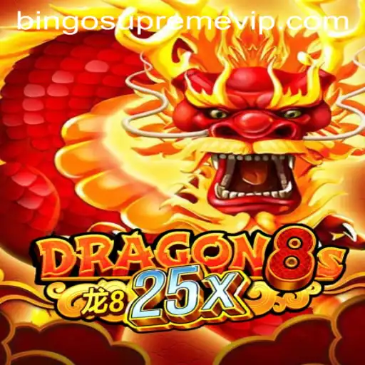 Dragon8s25x: Exploring BINGO SUPREME