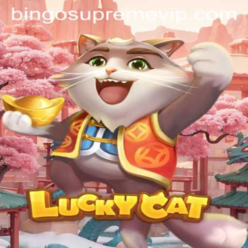 LuckyCat: Unveiling the Excitement of BINGO SUPREME