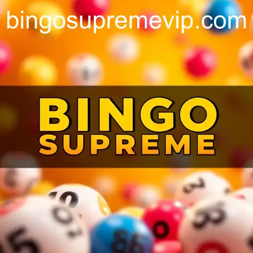 Delving into Promotions: Understanding BINGO SUPREME
